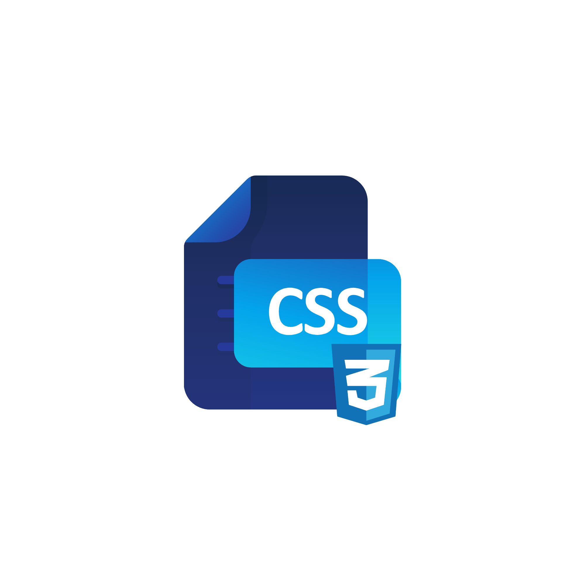 CSS